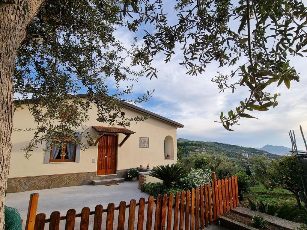 Maison Emilie Massa Lubrense Zewnętrze zdjęcie